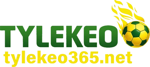 tylekeo.website