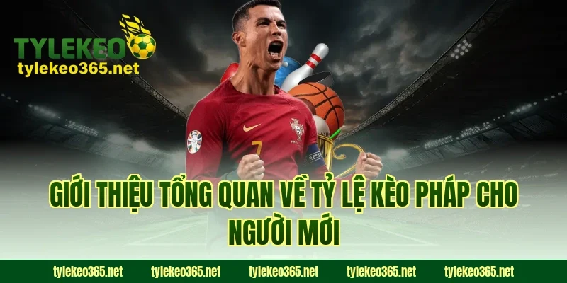 Giới thiệu tổng quan về tỷ lệ kèo pháp cho người mới