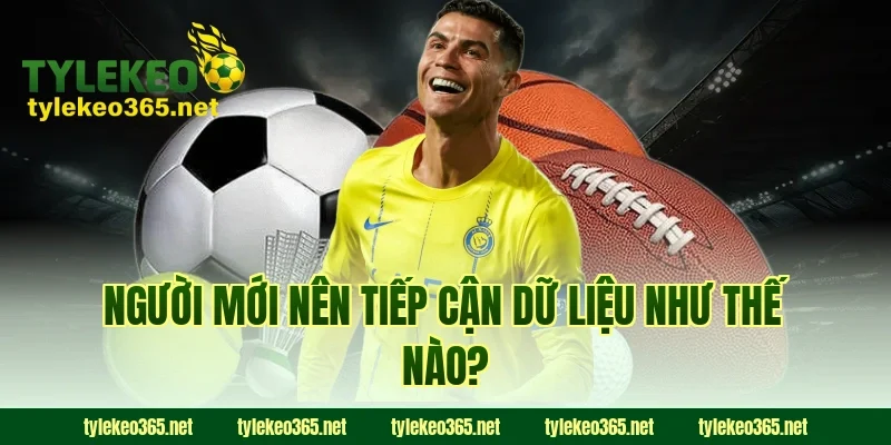 Người mới nên tiếp cận dữ liệu như thế nào?