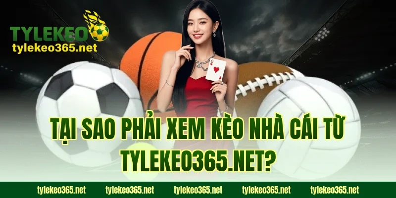 Tại sao phải xem kèo nhà cái từ tylekeo.website?
