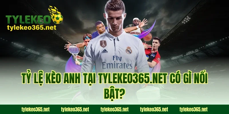 Tỷ lệ kèo Anh tại tylekeo.website có gì nổi bật?